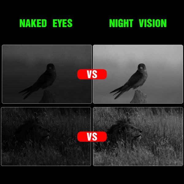 Powerful Fully Multi-Coated Optics Digital Night Vision Binoculars Widely Applications Night Vision For Military - Image 5