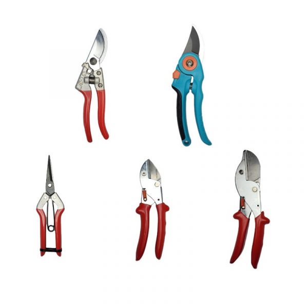 Hot sale Trimming Fruit shears Pruning Scissors Gardening hand Pruners Shears for Cutting Flowers Trimming Plants Bonsai - Image 5