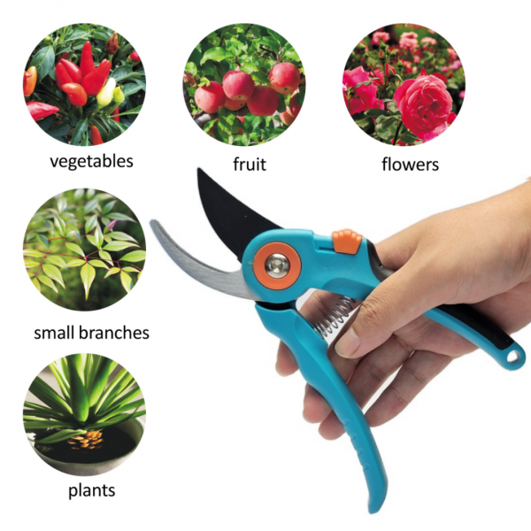 Hot sale Trimming Fruit shears Pruning Scissors Gardening hand Pruners Shears for Cutting Flowers Trimming Plants Bonsai - Image 3