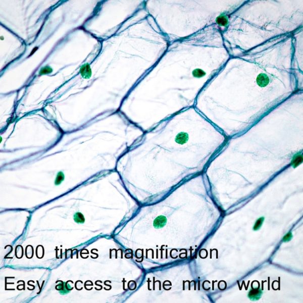 Shopify service microscope microscope digital  microscope price - Image 4