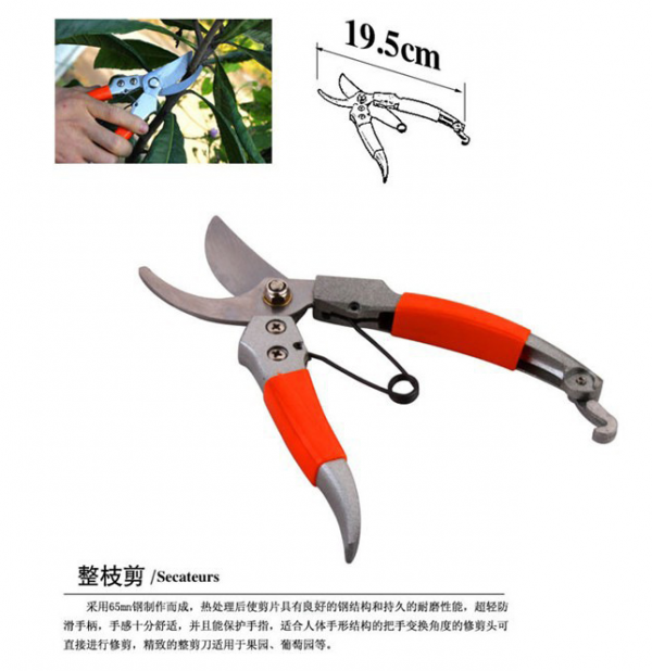 Hot sellers with daily garden small box hand tools garden tools - Image 4