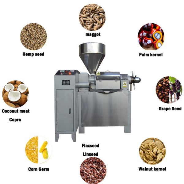 RF series Stainless steel Seed Extraction auto oil press machine Oil Machine wholesale price - Image 6