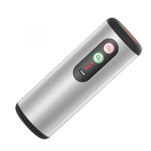 2020 Trending Products PM2.5 Filter 50mg/h Car House Room Hotel Office Vehicle Car Ozone Generator - Image 4