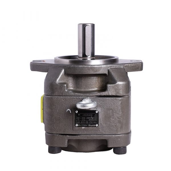 HG2 Internal Gear Pumps SUNNY High Pressure Servo Oil Pump Model HG2-100-01R-VPC HG2-100-1L-VPC - Image 4