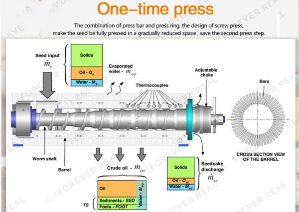 3.5-5T/D Small Canola Cocoa Almond Oil Press Machine Plant Oil Extractor Oil Neem Extraction Machine - Image 4