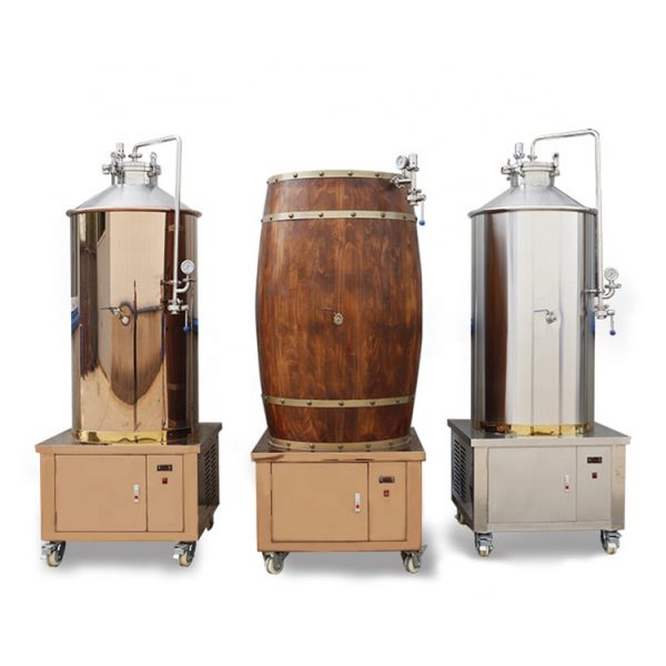 YG system craft for sale brewery bottle making machine beer brewing equipment 30l - Image 2